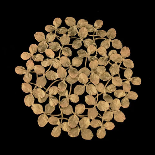 Michael Michaud: Clover Trivet