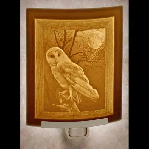 The Porcelain Garden: Owl Curved Night Light