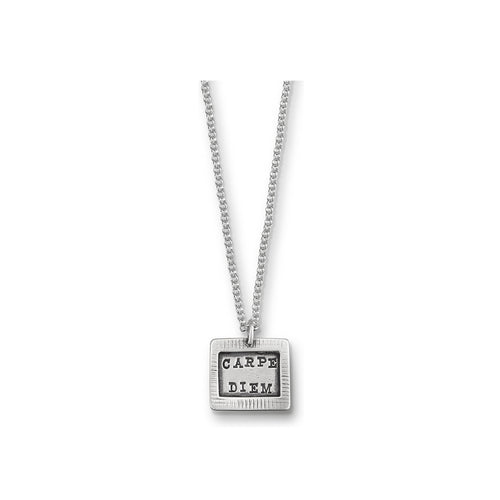 Kathy Bransfield: Pendant with Chain- Carpe Diem
