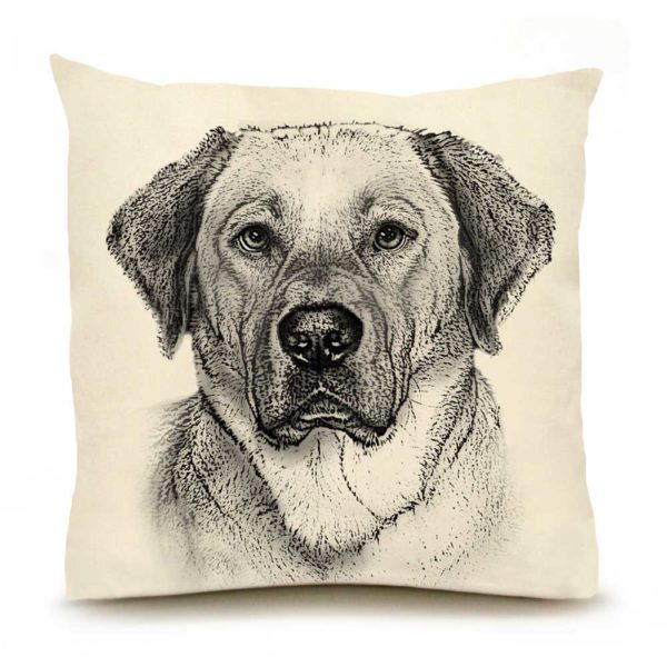 Eric & Christopher: Large Yellow Lab #2 Pillow
