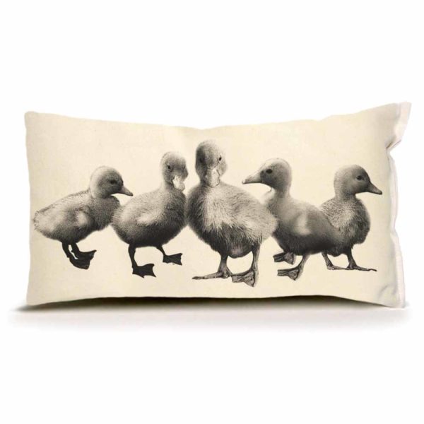 Eric & Christopher: Small Ducklings Pillow