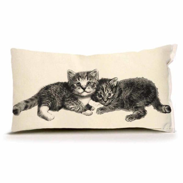 Eric & Christopher: Small Kittens Pillow