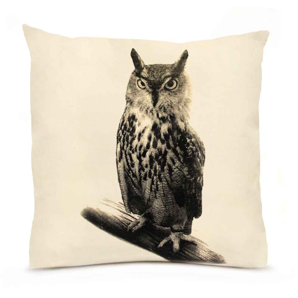 Eric & Christopher: Large Owl Pillow
