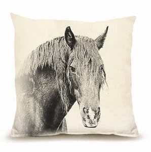 Eric and Christopher: Medium Horse #2 Pillow