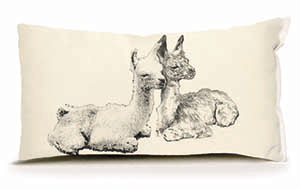 Eric & Christopher: Small Llama Pair Pillow