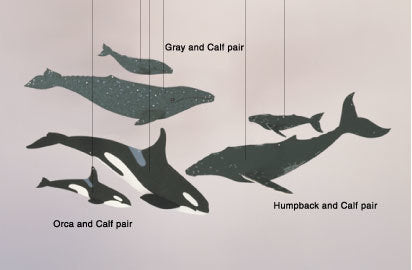 Skyflight Mobiles: Whale Set