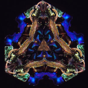Kaleidoscope Presentation & Class - Woodland Designs -  Peggy & Steve Kittleson -